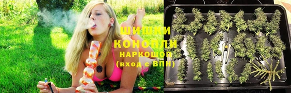 ешки Зерноград