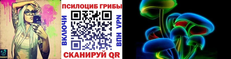 продажа наркотиков  Кола  кракен зеркало  Галлюциногенные грибы мицелий 